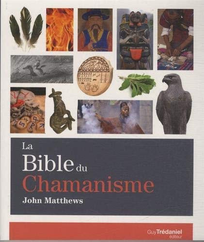 Bibble Du Chamanisme-Matthews