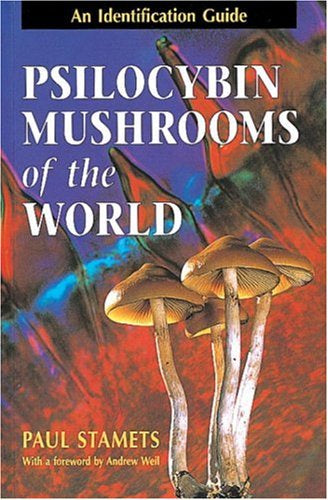 Champignons à psilocybine du monde : guide d'identification