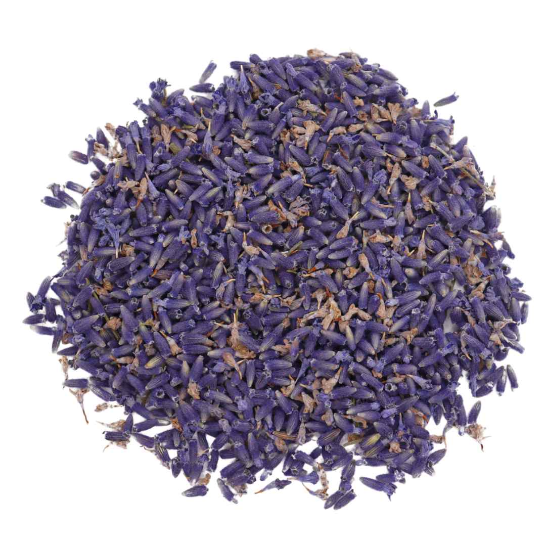 LAVANDE SUPER BLEU