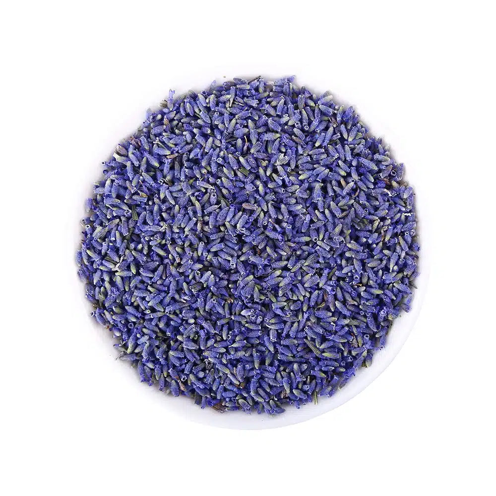 Lavande française bleu saphir