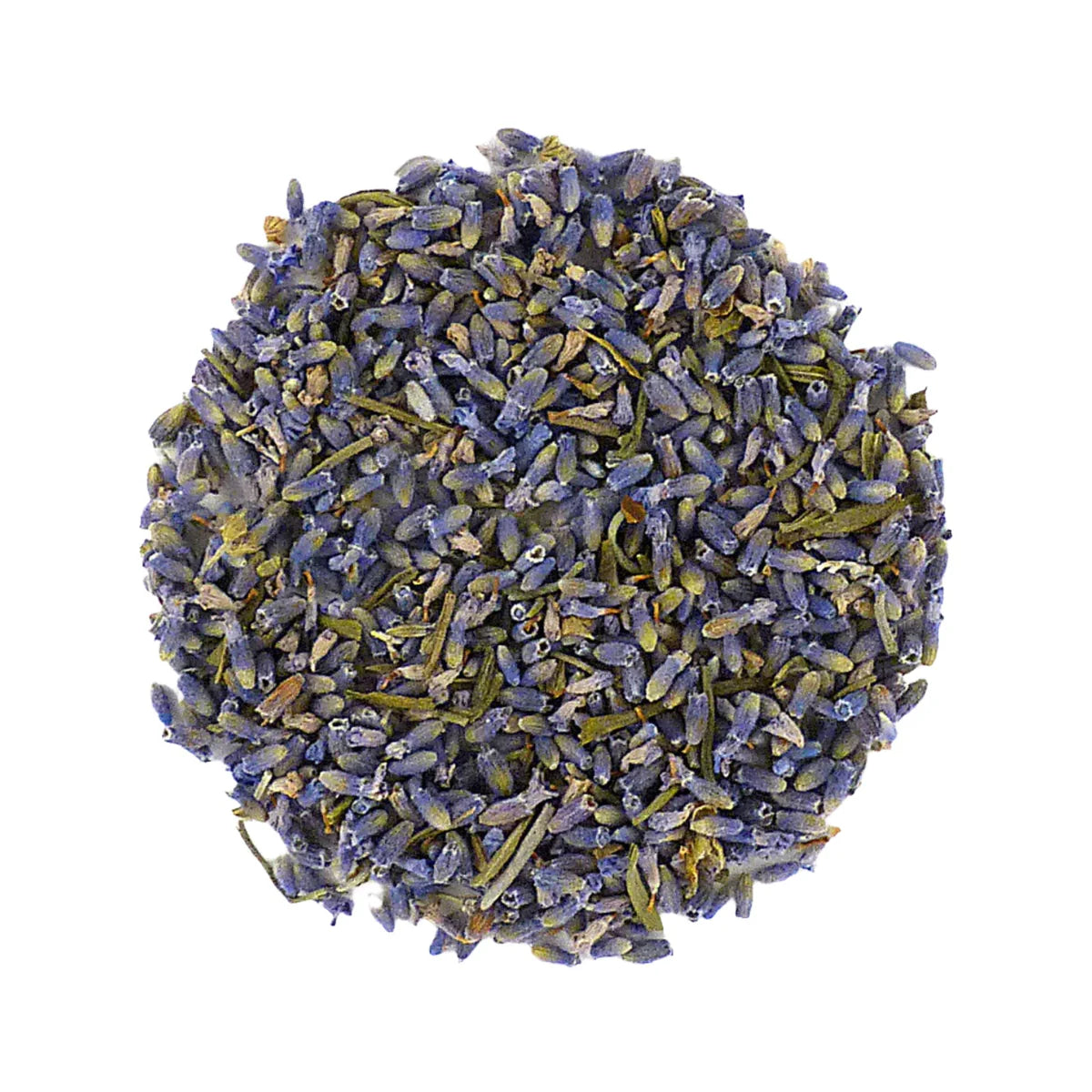 Lavande française bleu saphir