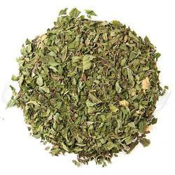 MENTHE POIVRÉE WILLAMETTE BIO