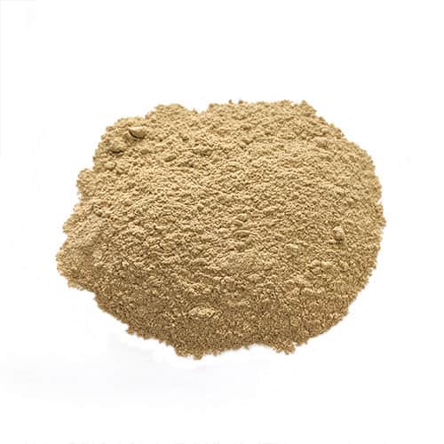 Ashwagandha en poudre biologique