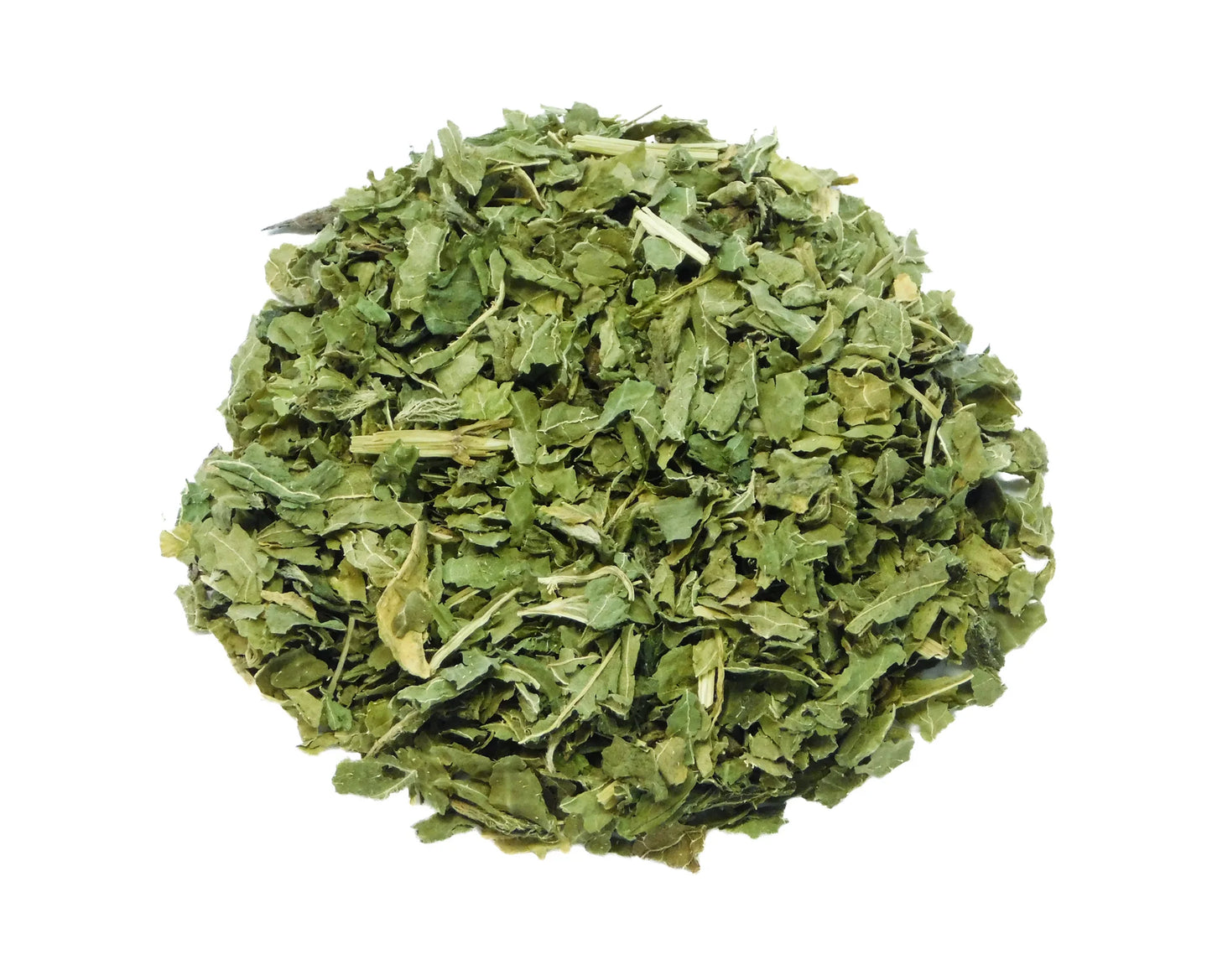 Ortie - Ortie - Urtica Dioica
