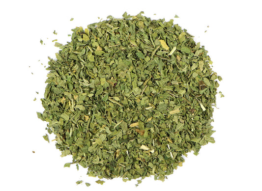 Ortie - Ortie - Urtica Dioica