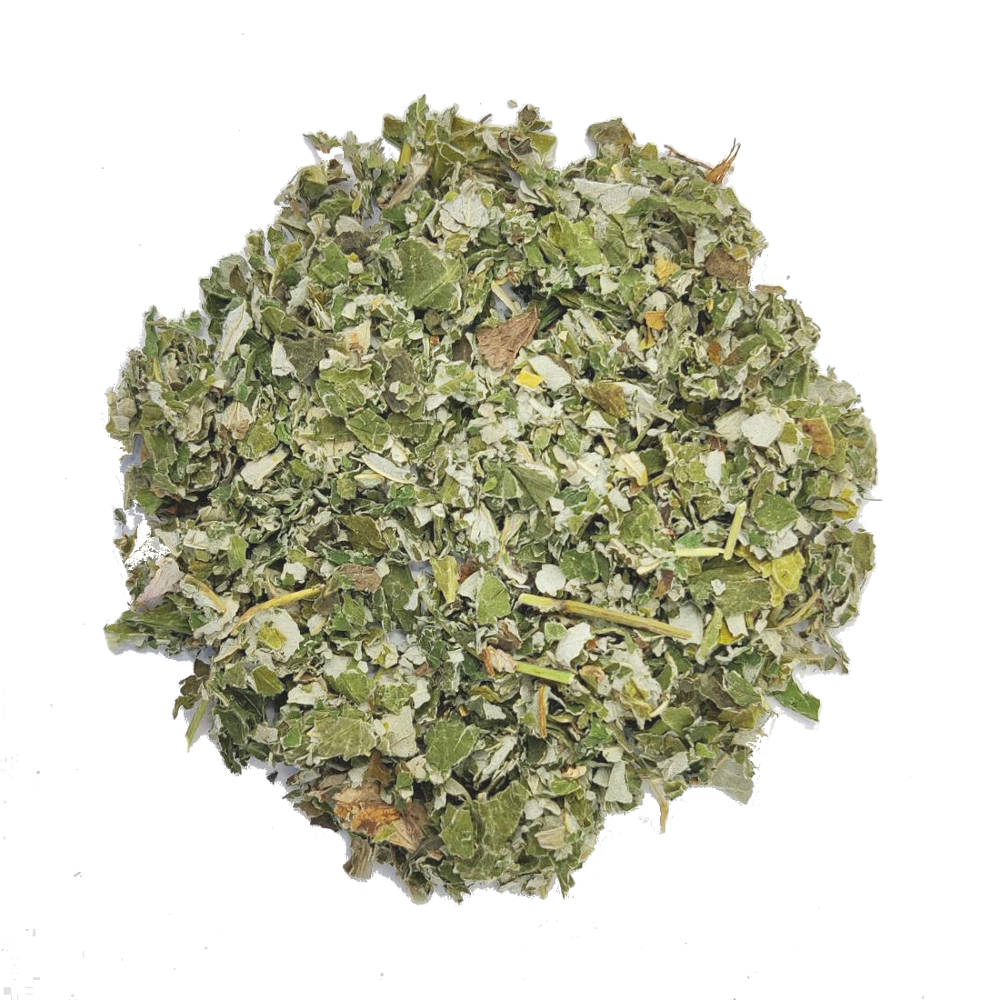 Feuille de framboisier