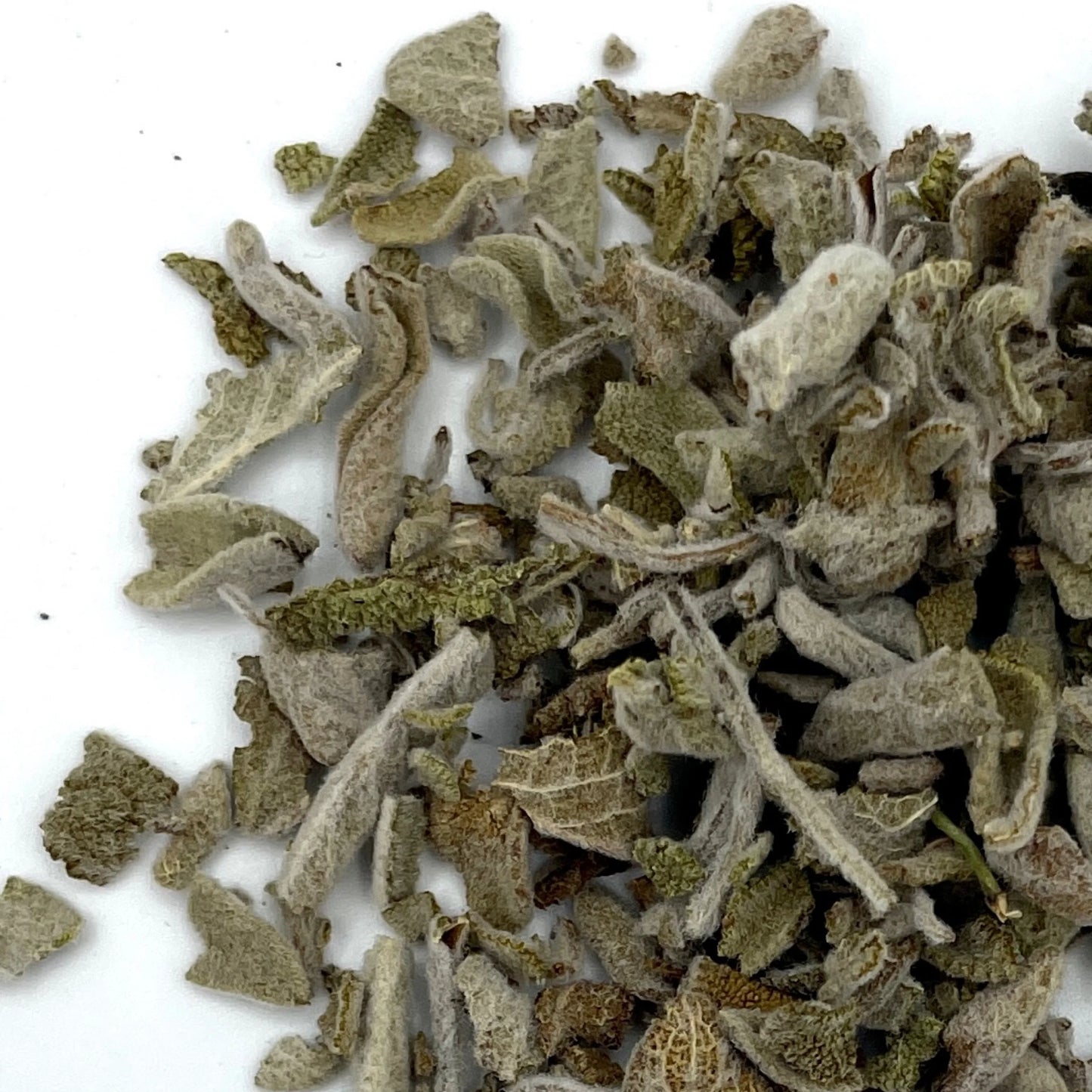 FEUILLES DE SAUGE