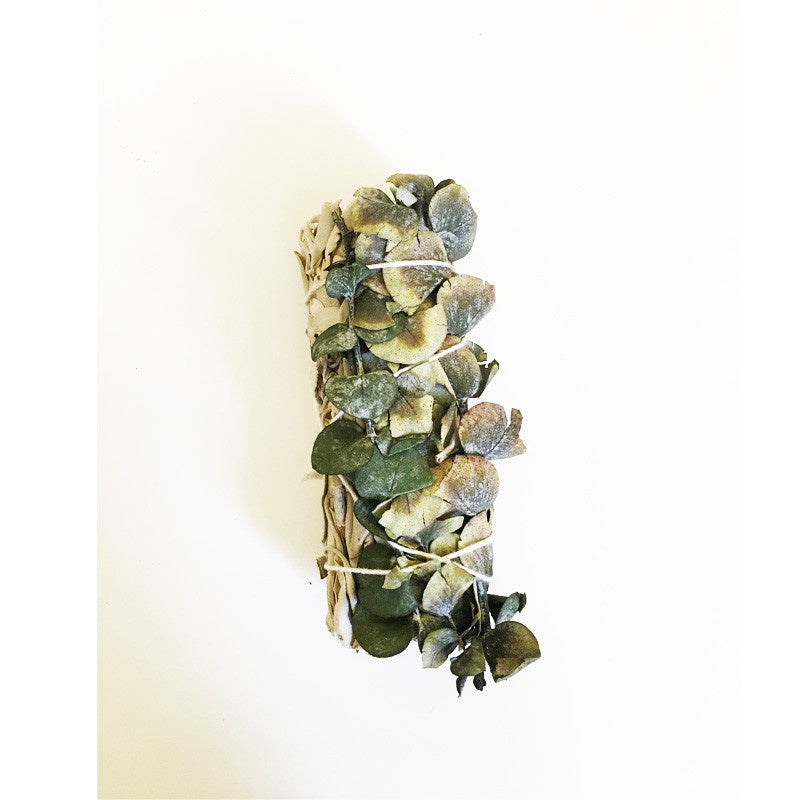 Eucalyptus – Sauge blanche suprême de Californie