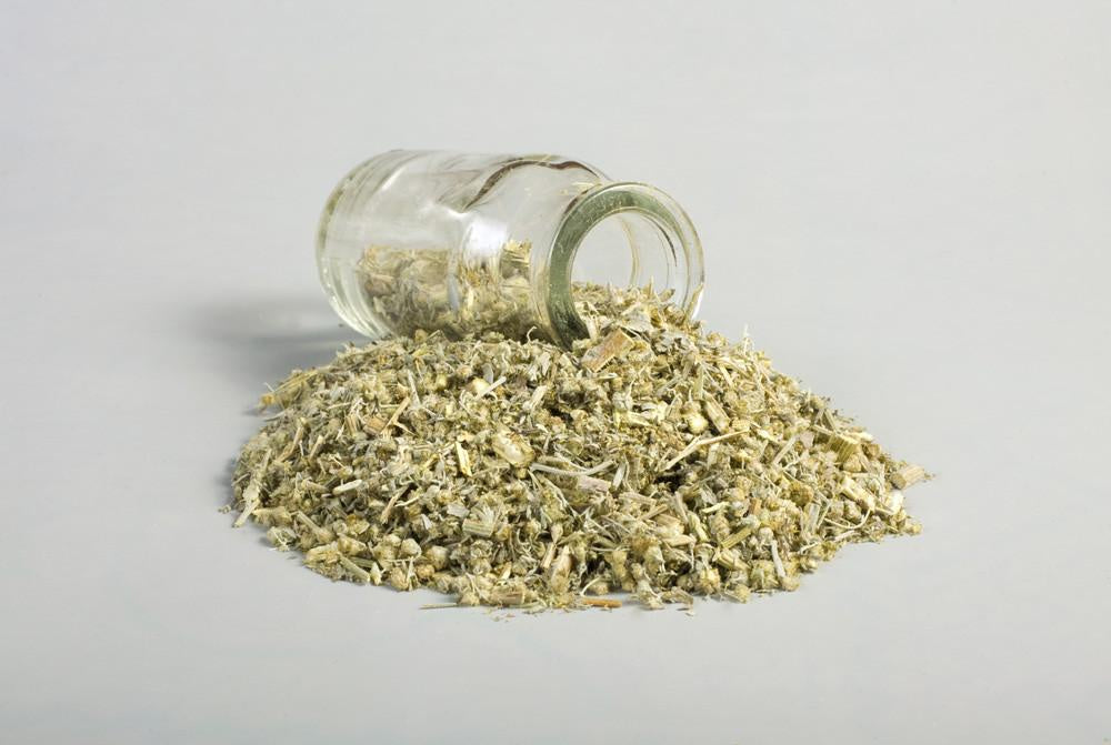 Absinthe - Herbe d'absinthe - Artemisia Absinthium