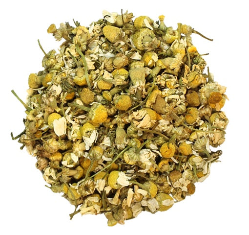 Camomille égyptienne