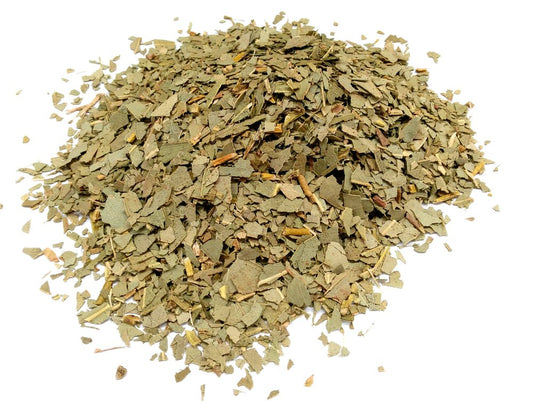 Feuilles d'eucalyptus