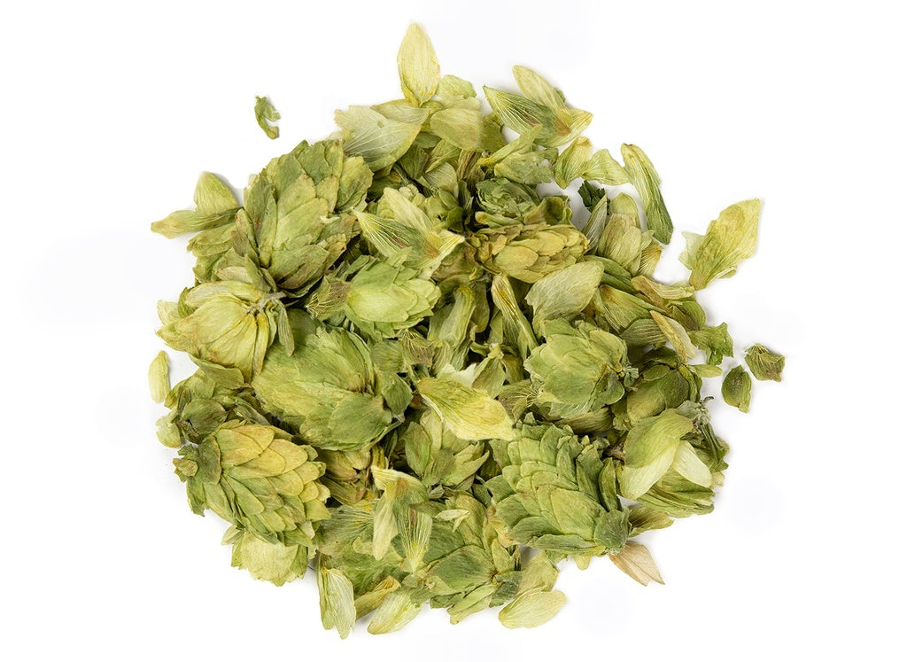 Houblon - Humulus lupulus
