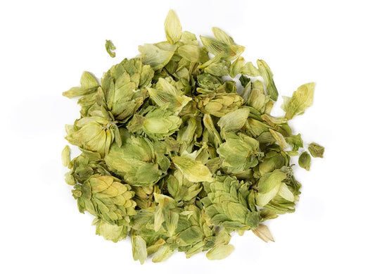 Houblon - Humulus lupulus