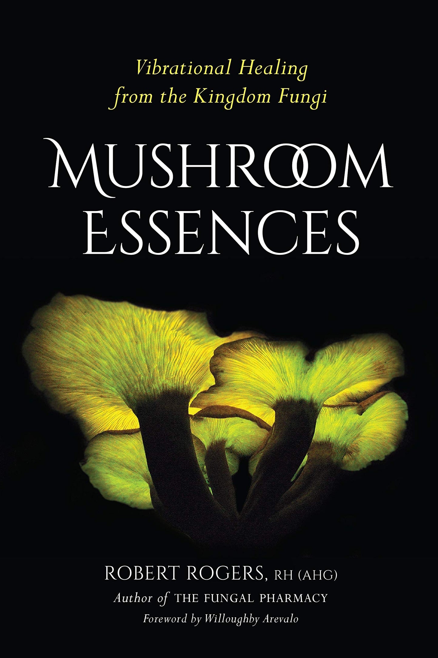 Mushrooms Essences