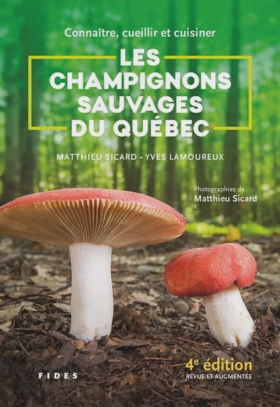 CHAMPIGNONS SAUVAGES