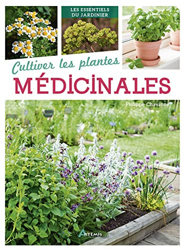 CULTURE DES PLANTES MEDICINALES