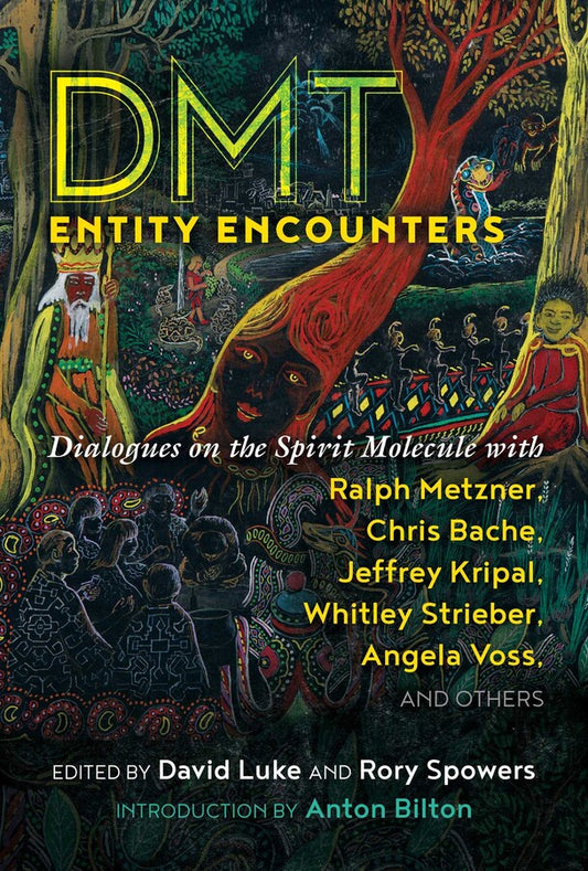 Rencontres avec les entités DMT Dialogues sur la molécule spirituelle avec Ralph Metzner, Chris Bache, Jeffrey Kripal, Whitley Strieber, Angela Voss et d'autres