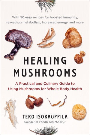 CHAMPIGNONS CICATRISANTS