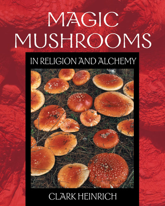 Les champignons magiques dans la religion et l'alchimie