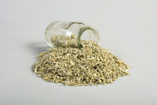 Wormwood - Absinthe Herb - Artemisia Absinthium