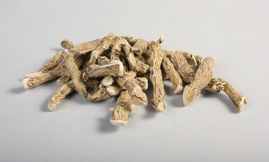 Sweet Flag - Racine d'Acorus calamus