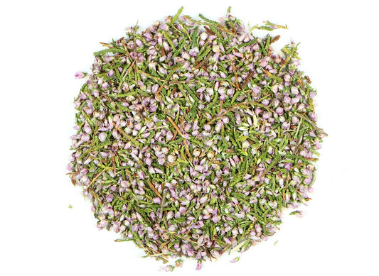 Bruyère-Calluna vulgaris